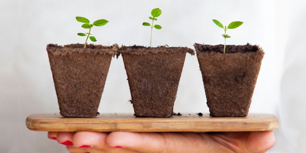 Building Your Nonprofit Email List: Tips to Grow, Nurture and Engage Your List