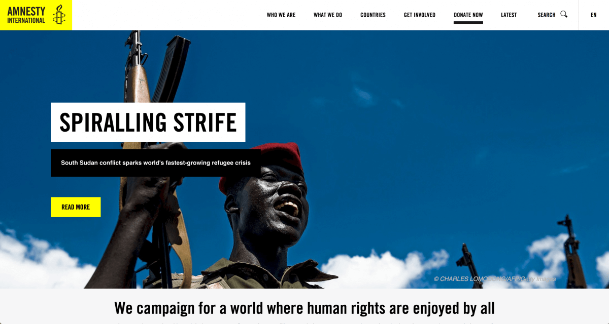 Amnesty International Website Sample