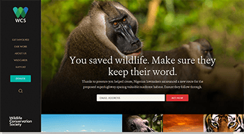 Wildlife Conservation Society Website Sample