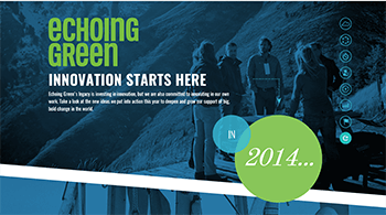 Echoing Green Annual Report Sample