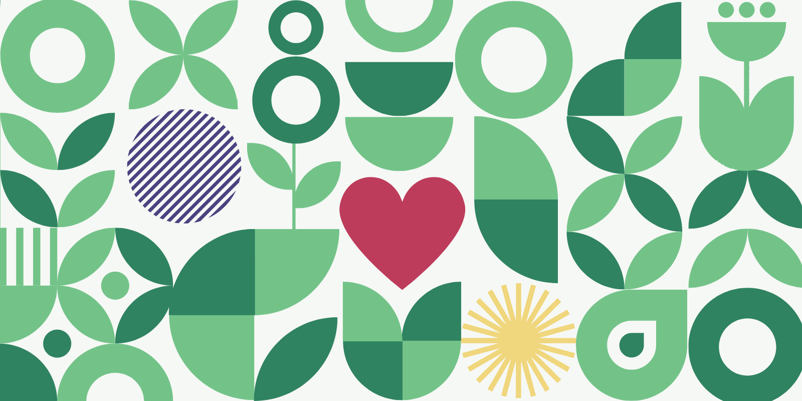 Bringing Softness into Social Justice Work, Part 3 – The Courage to Be Soft: Balancing Accountability and Compassion