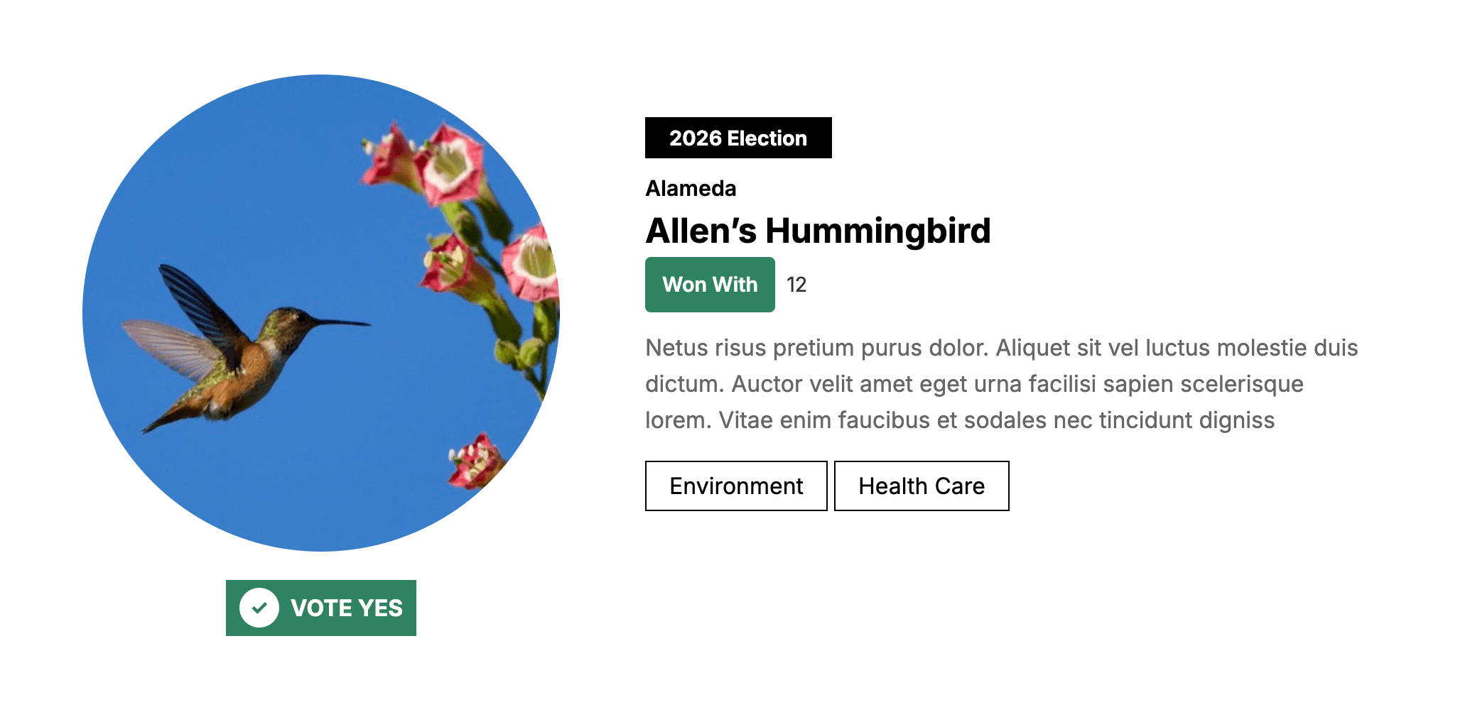 left side has a hummingbird against a blue sky with a green vote yes button below and the right side says 2026 Election, Alameda, Allen's Hummingbird, Won with the number of votes, a fake blurb about the candidate and tags below that say environment and health care